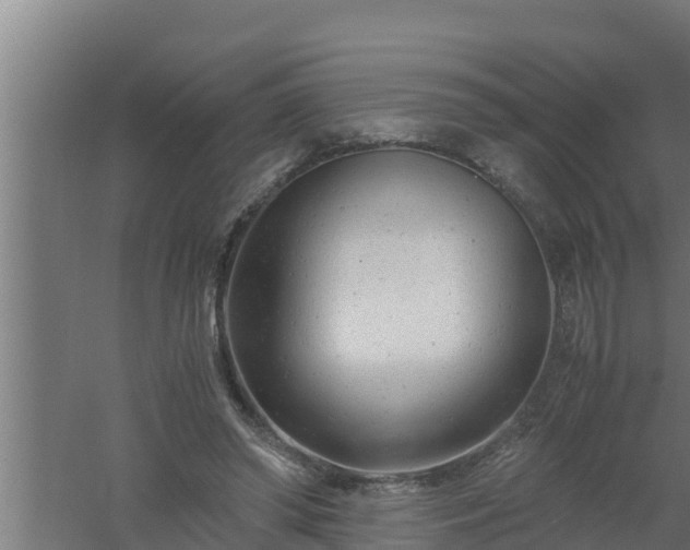 X0000061120398200511241715