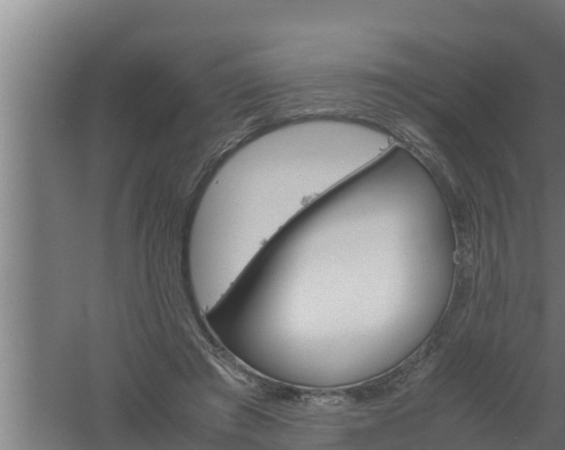 X0000061120401200511241715