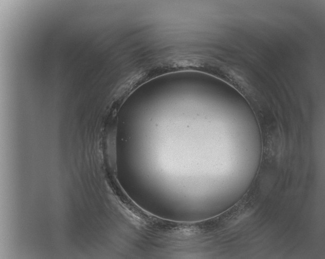 X0000061120402200511241715