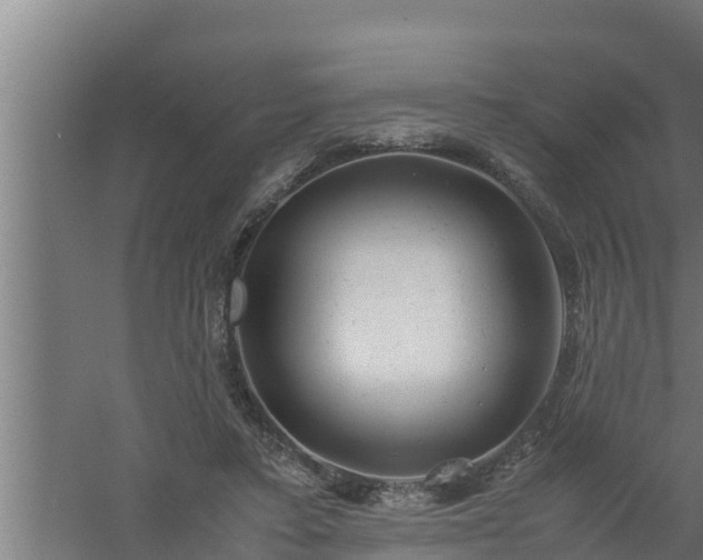 X0000061120403200511241715