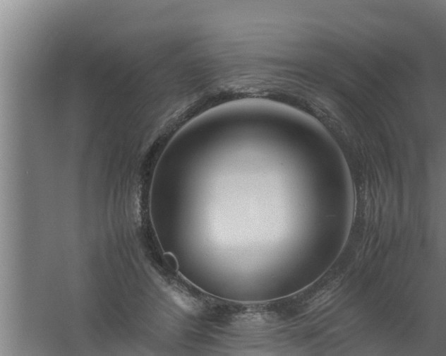 X0000061120404200511241715