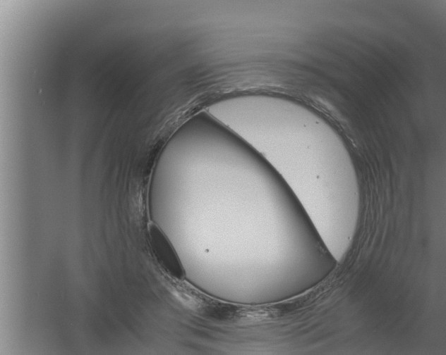 X0000061120405200511241715