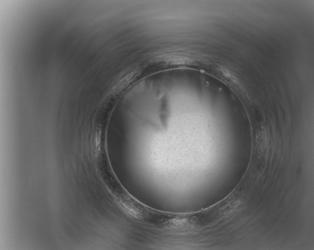 X0000061120406200511241715