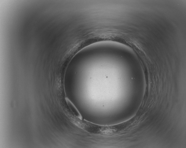 X0000061120407200511241715