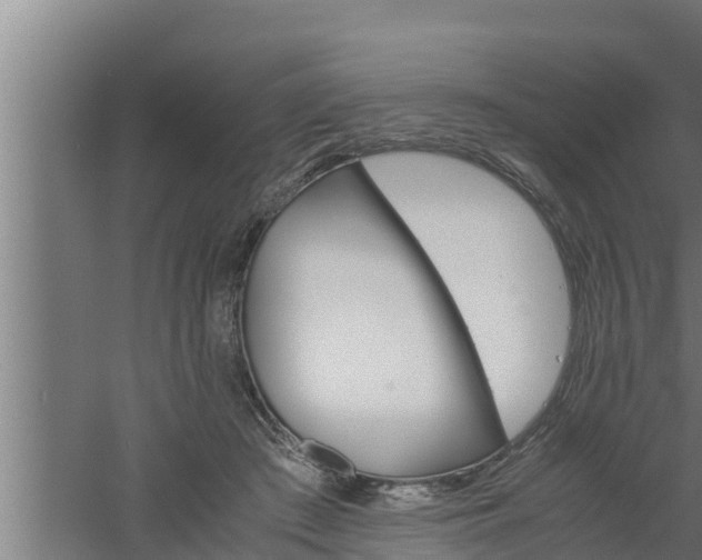 X0000061120409200511241715