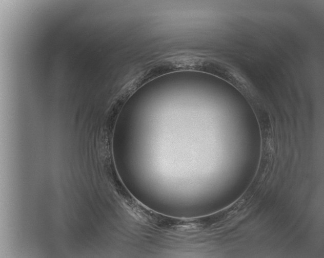 X0000061120411200511241715