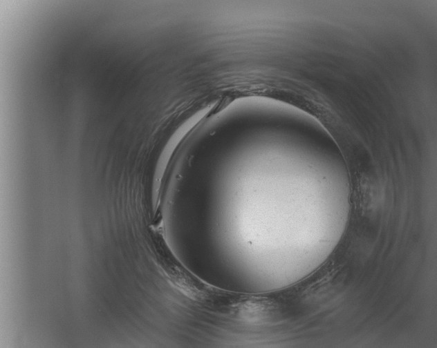 X0000061120412200511241715