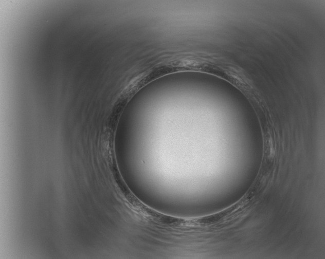 X0000061120415200511241715