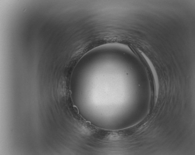 X0000061120416200511241715