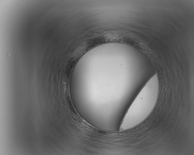 X0000061120417200511241715