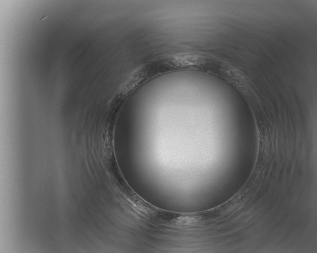 X0000061120418200511241715