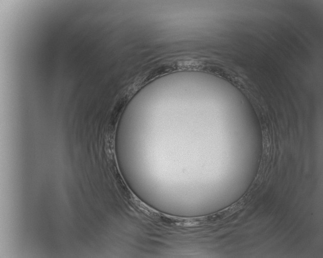 X0000061120419200511241715