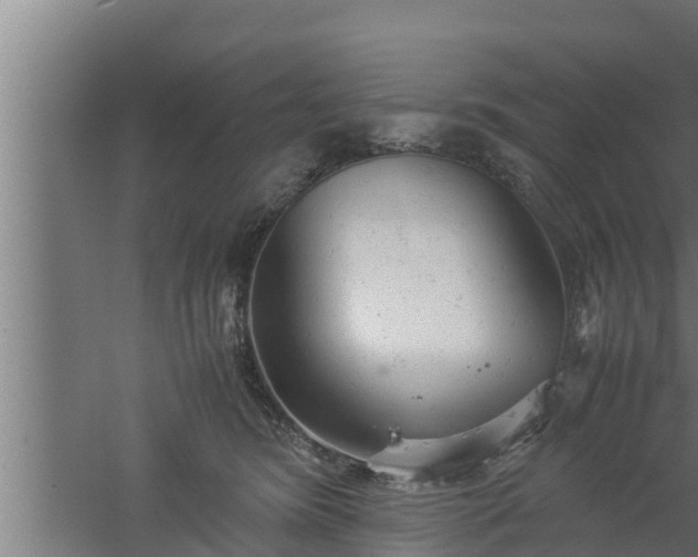 X0000061120420200511241715