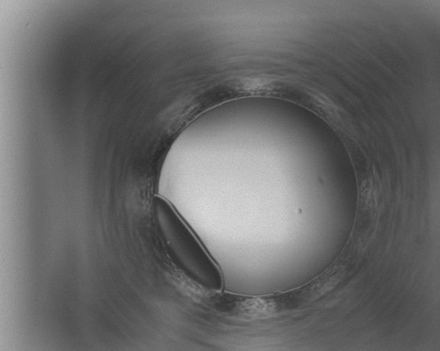 X0000061120421200511241715