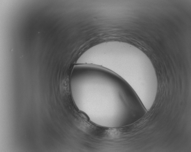 X0000061120425200511241715