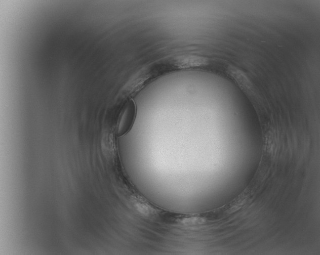 X0000061120426200511241715