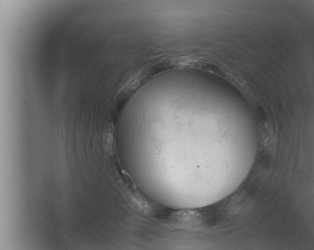 X0000061120427200511241715