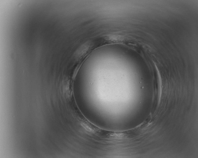 X0000061120428200511241715