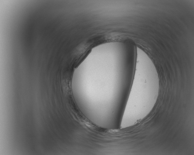 X0000061120429200511241715