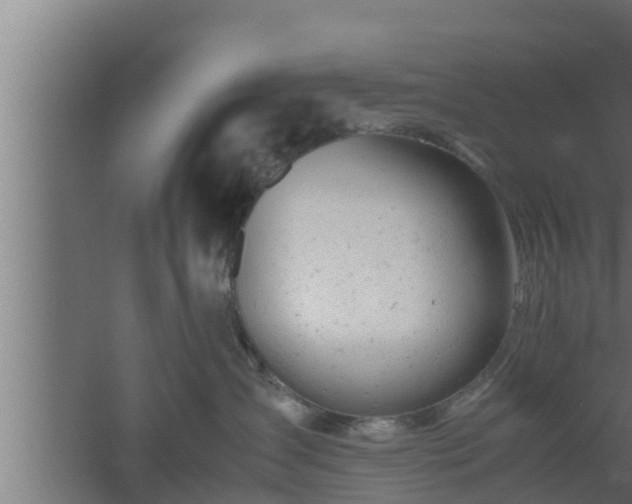 X0000061120431200511241715