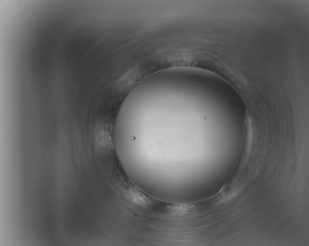 X0000061120432200511241715