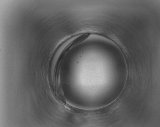 X0000061120434200511241714