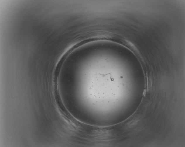 X0000061120435200511241714