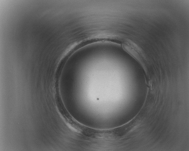 X0000061120436200511241714