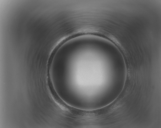 X0000061120438200511241714