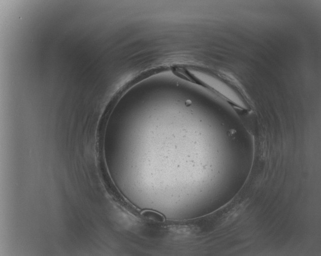 X0000061120439200511241714