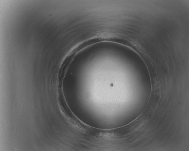 X0000061120440200511241714