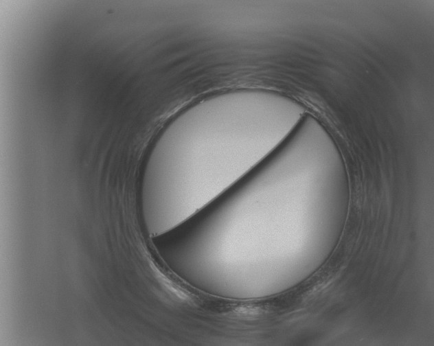 X0000061120441200511241714