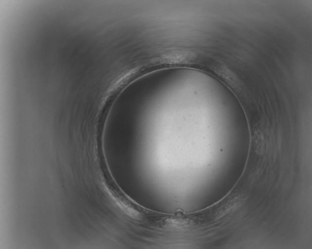 X0000061120442200511241714