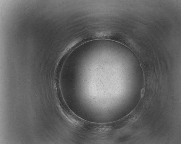 X0000061120443200511241714