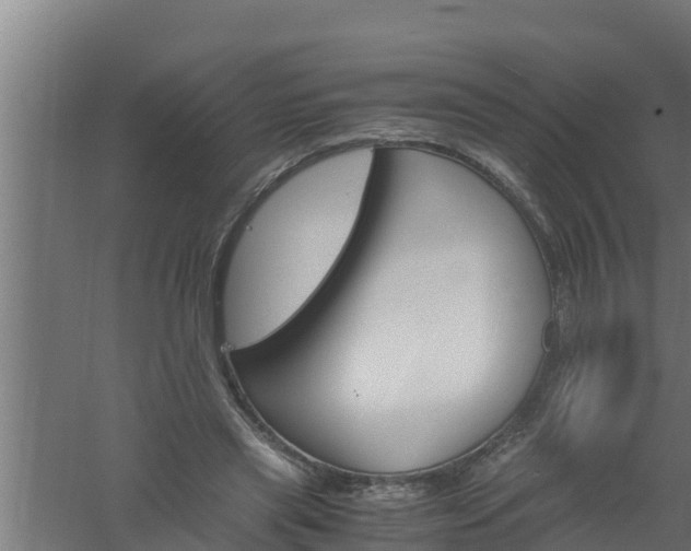 X0000061120445200511241714