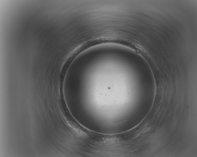 X0000061120446200511241714