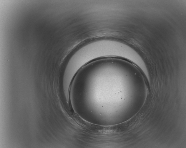 X0000061120448200511241714