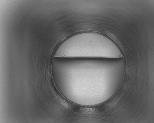 X0000061120449200511241714