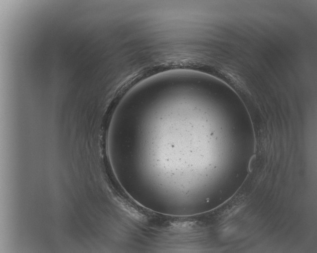 X0000061120450200511241714