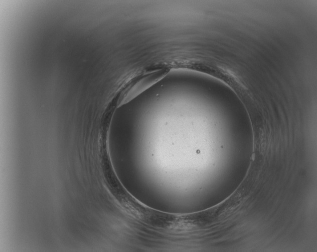 X0000061120451200511241714