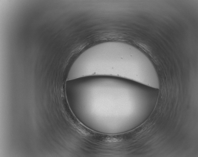 X0000061120453200511241714