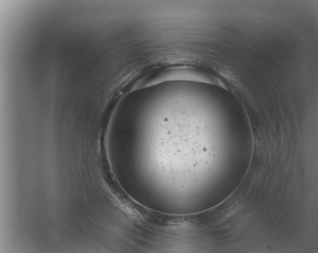 X0000061120454200511241714