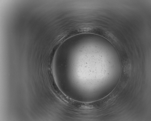 X0000061120455200511241714