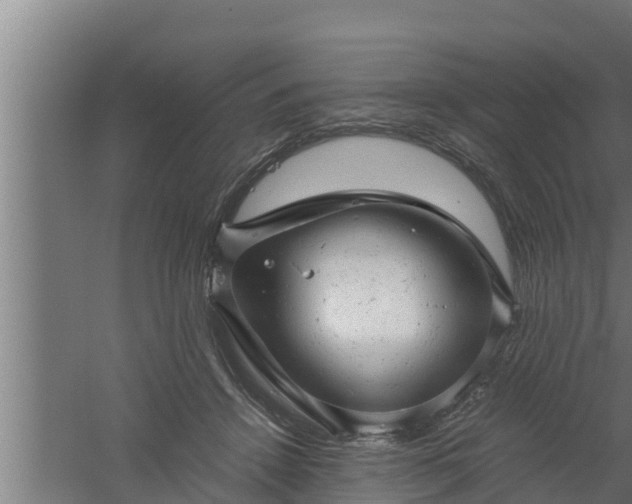 X0000061120456200511241714