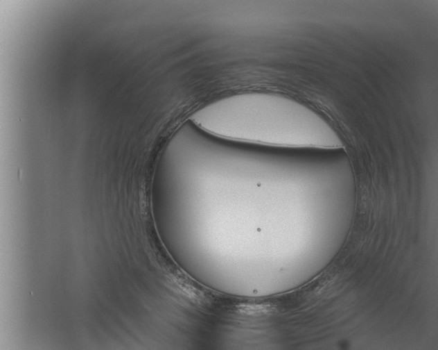 X0000061120457200511241714