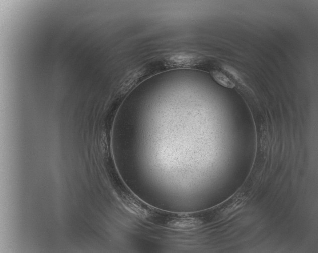 X0000061120459200511241714