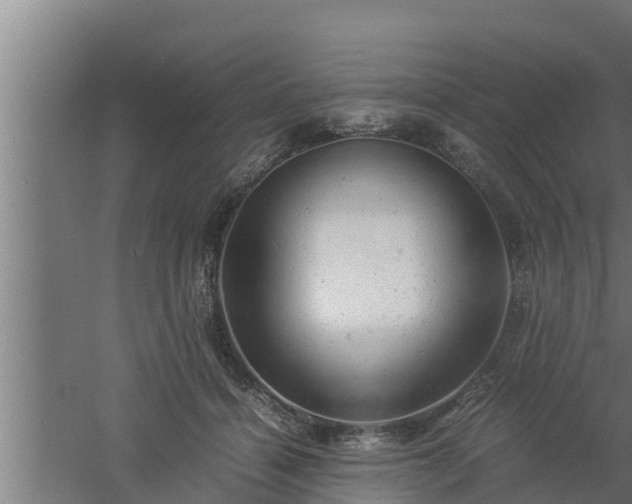 X0000061120460200511241714