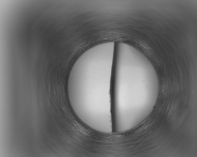 X0000061120461200511241714