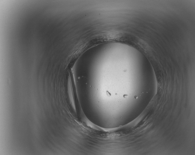 X0000061120462200511241714