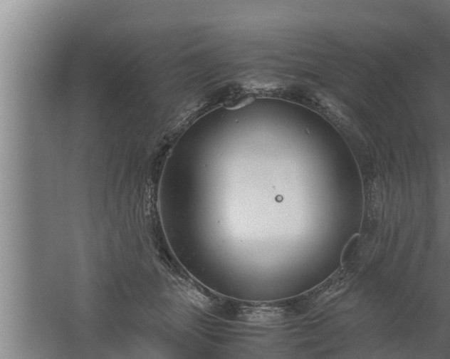 X0000061120463200511241715